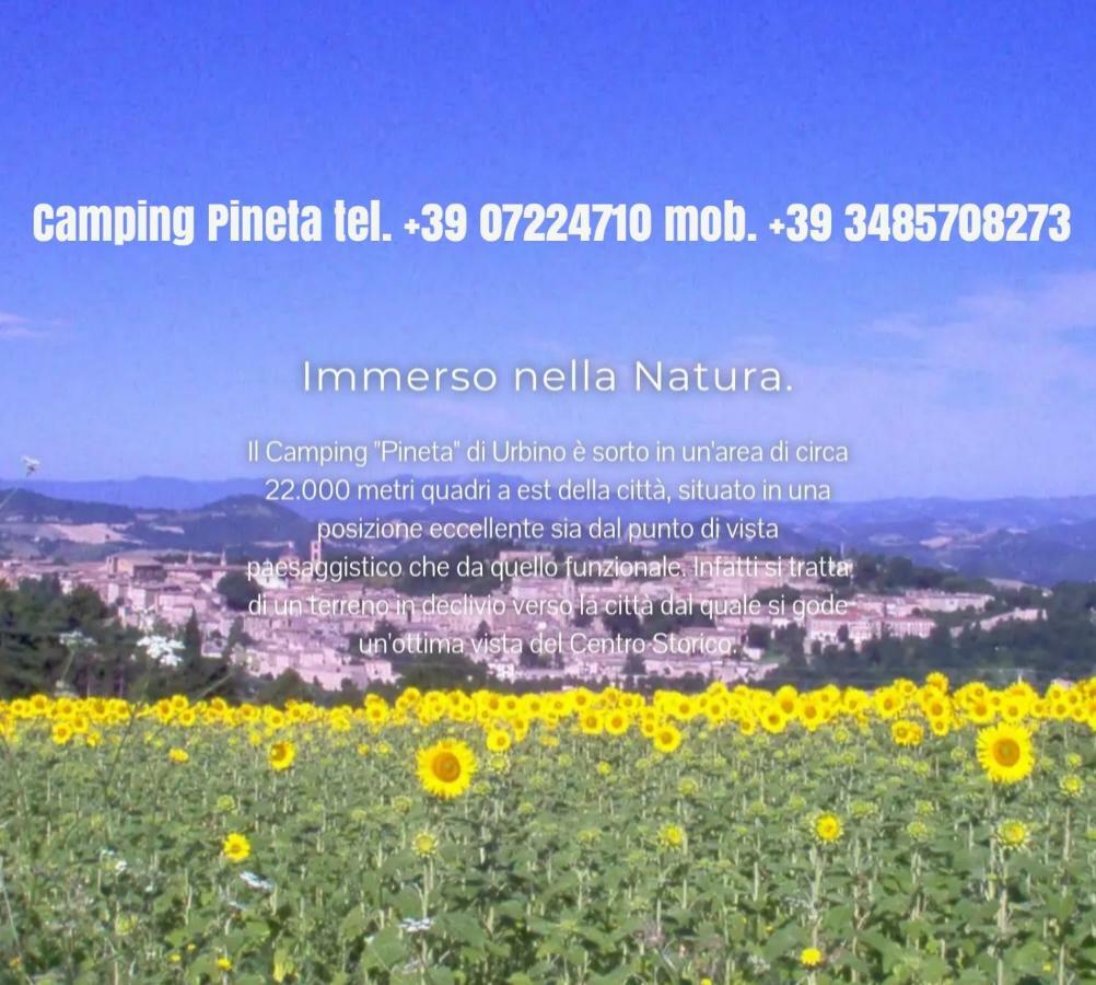 Camping Pineta Hotel Urbino Luaran gambar